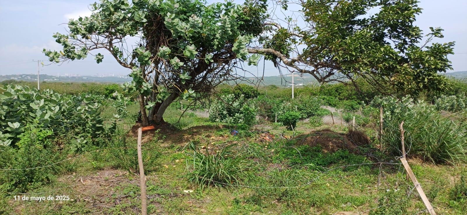 Lote en Venta - Salgar, Atlántico - 2