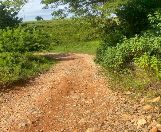 Lote en venta - Cáceres, Antioquia - 2