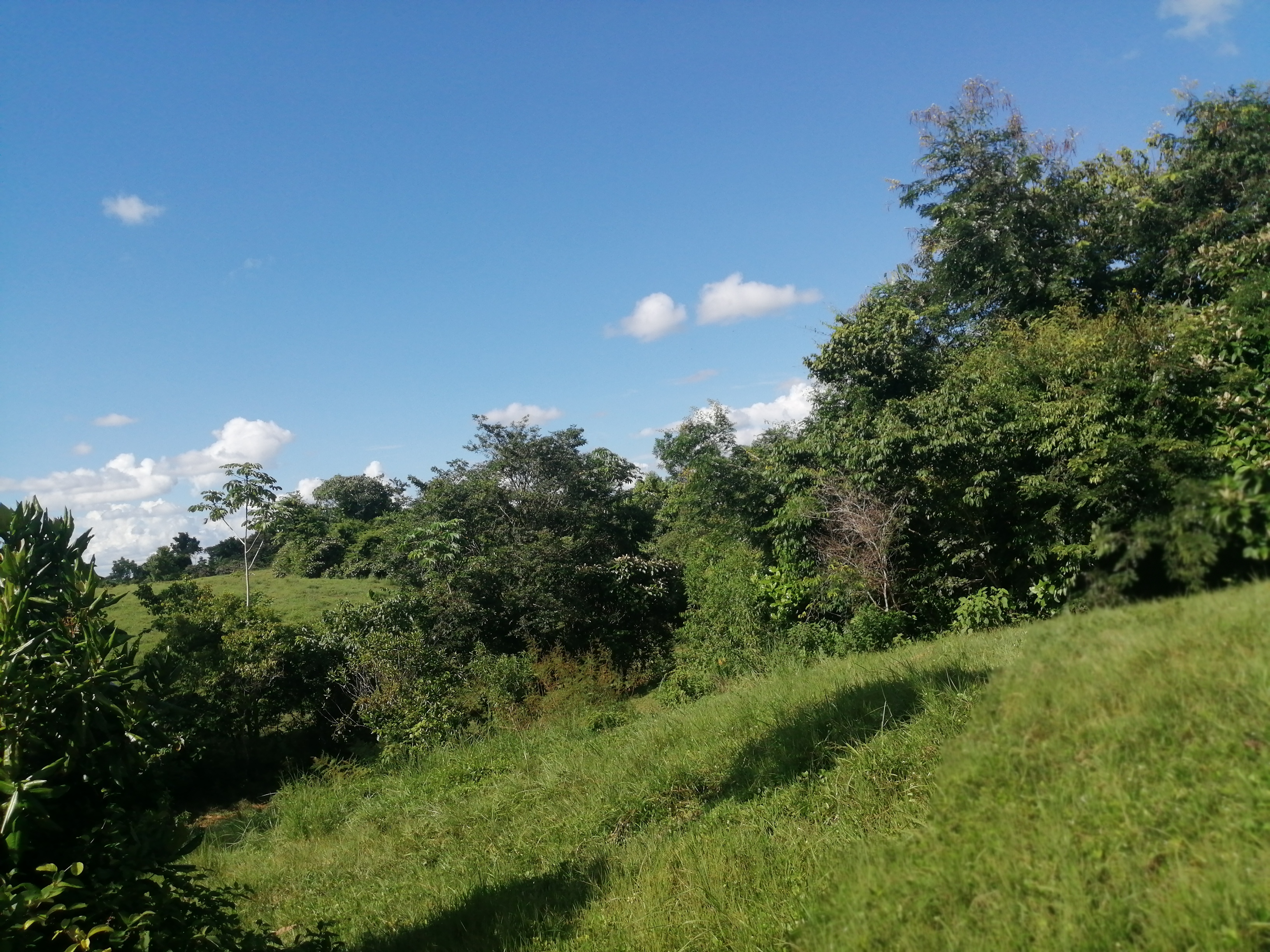 Finca en Venta - Taraza, Antioquia - 7