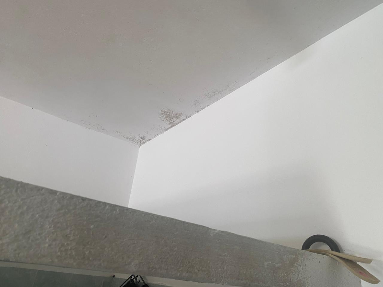 CASA en Gestion - APARTADÓ, ANTIOQUIA - 22