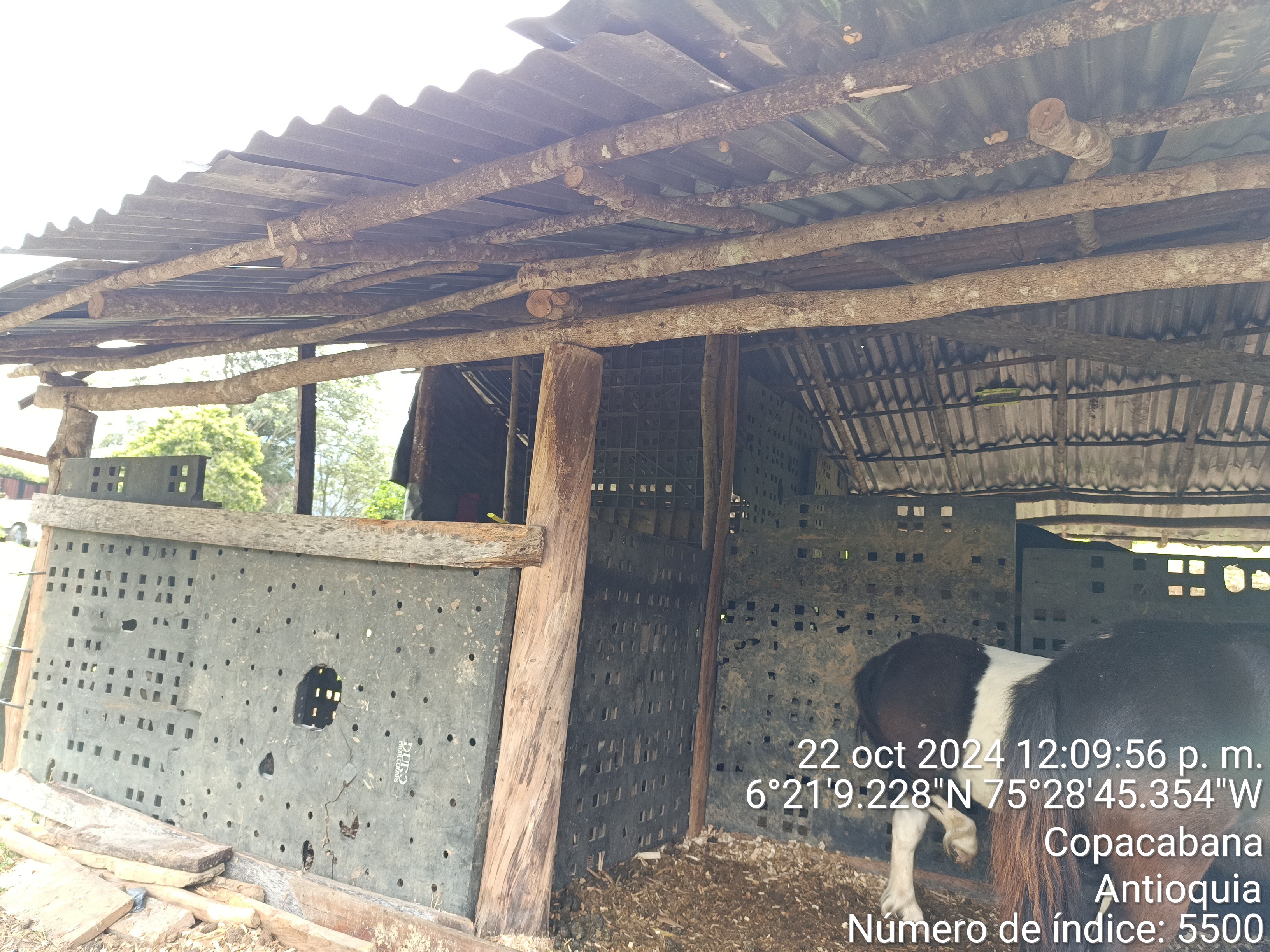 LOTE en Gestion - COPACABANA, ANTIOQUIA - 7