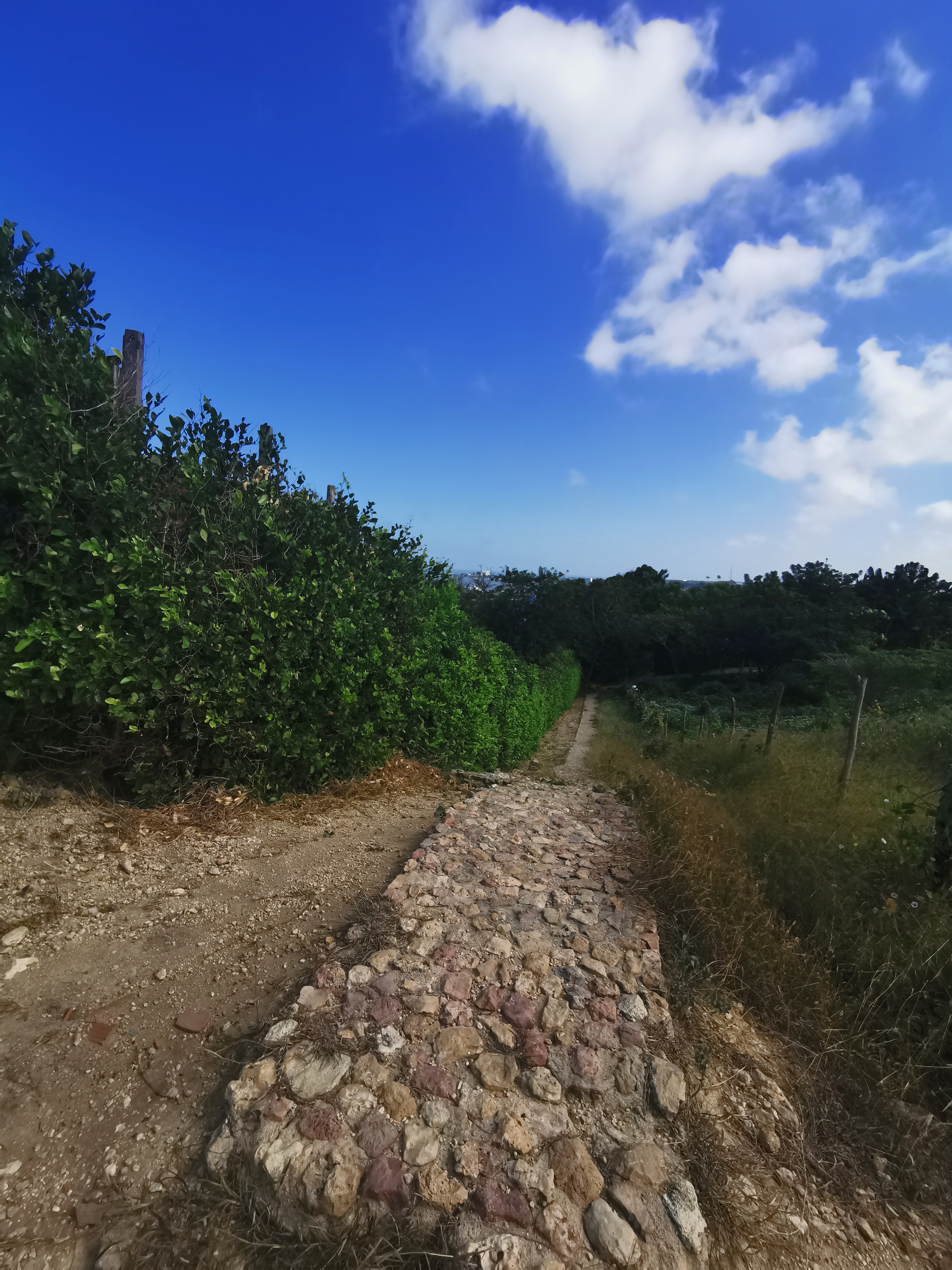 Lote en Venta - Puerto Colombia, Atlantico - 1