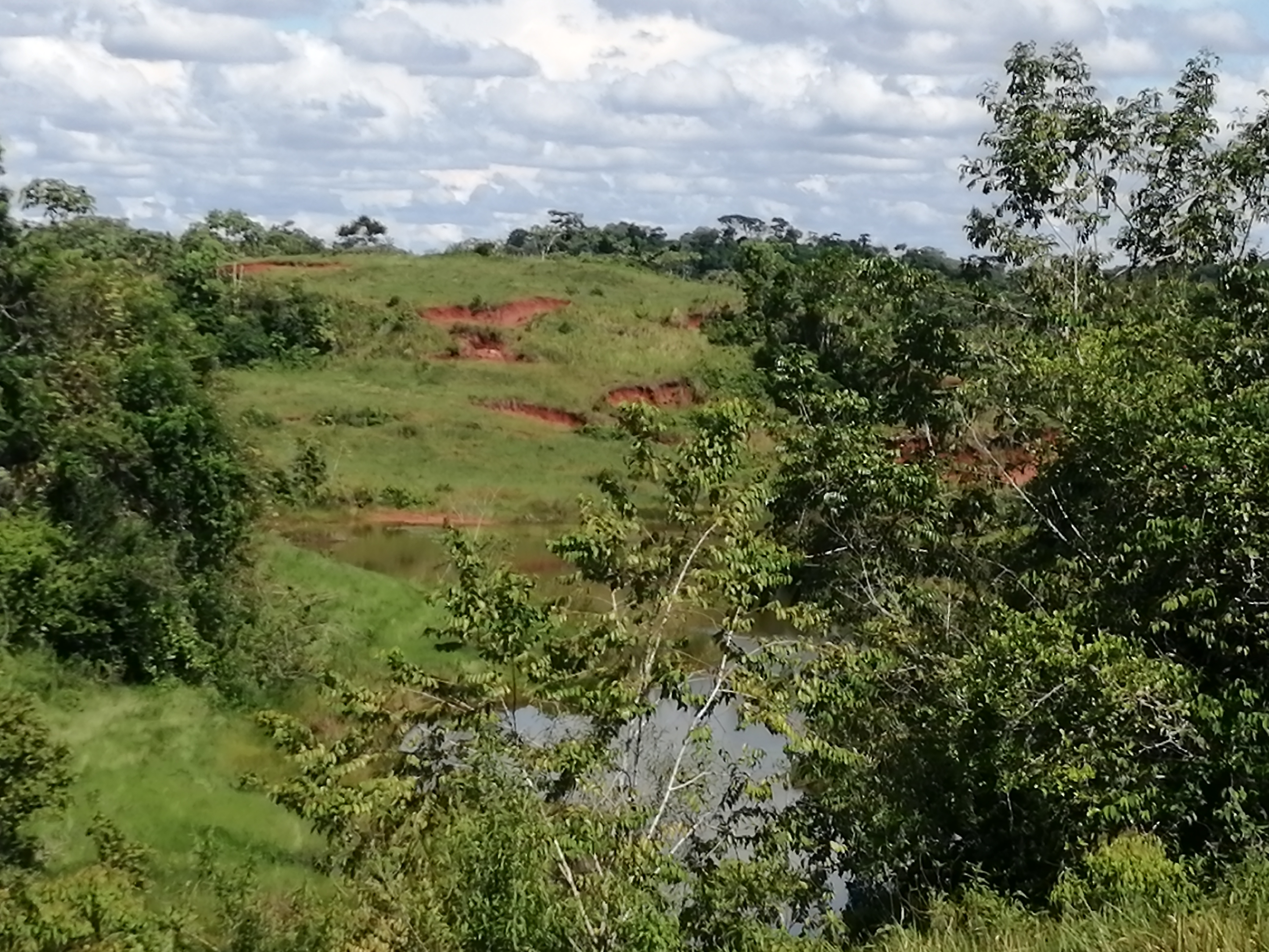 Finca en Venta - Taraza, Antioquia - 2