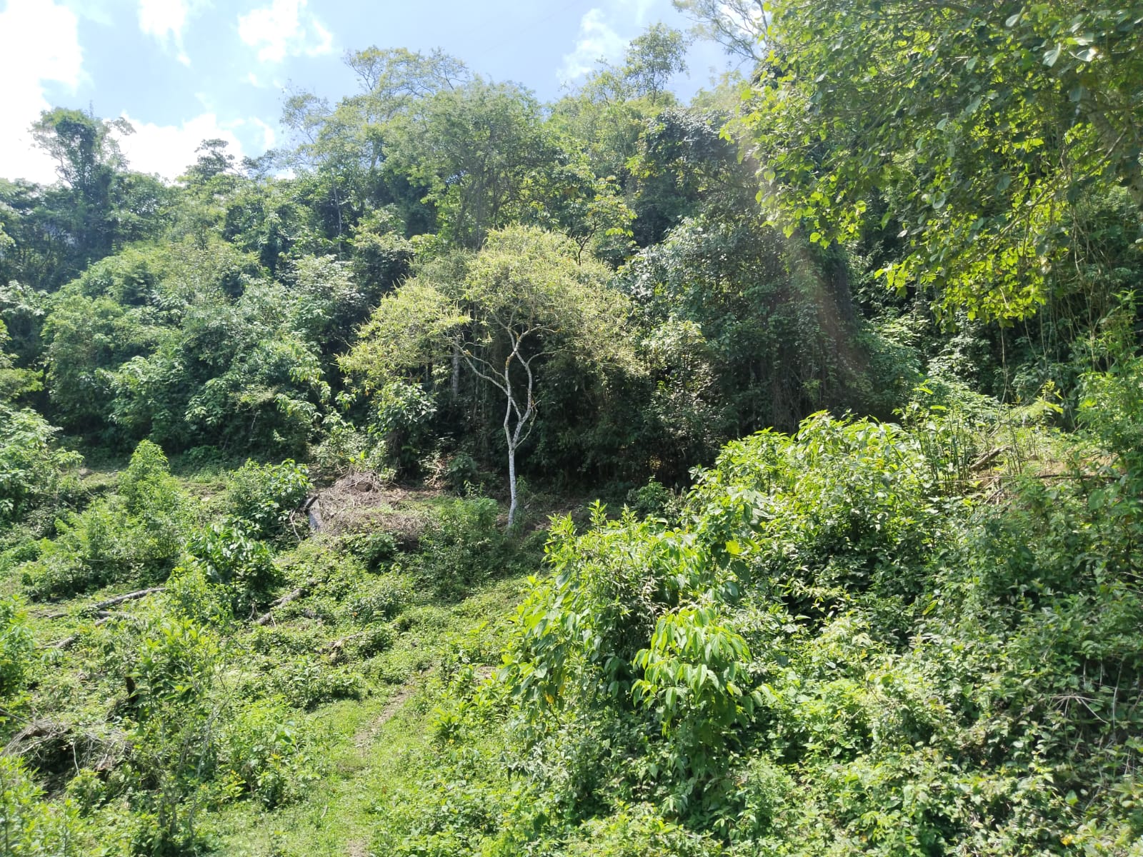 Finca - Ebéjico, Antioquia