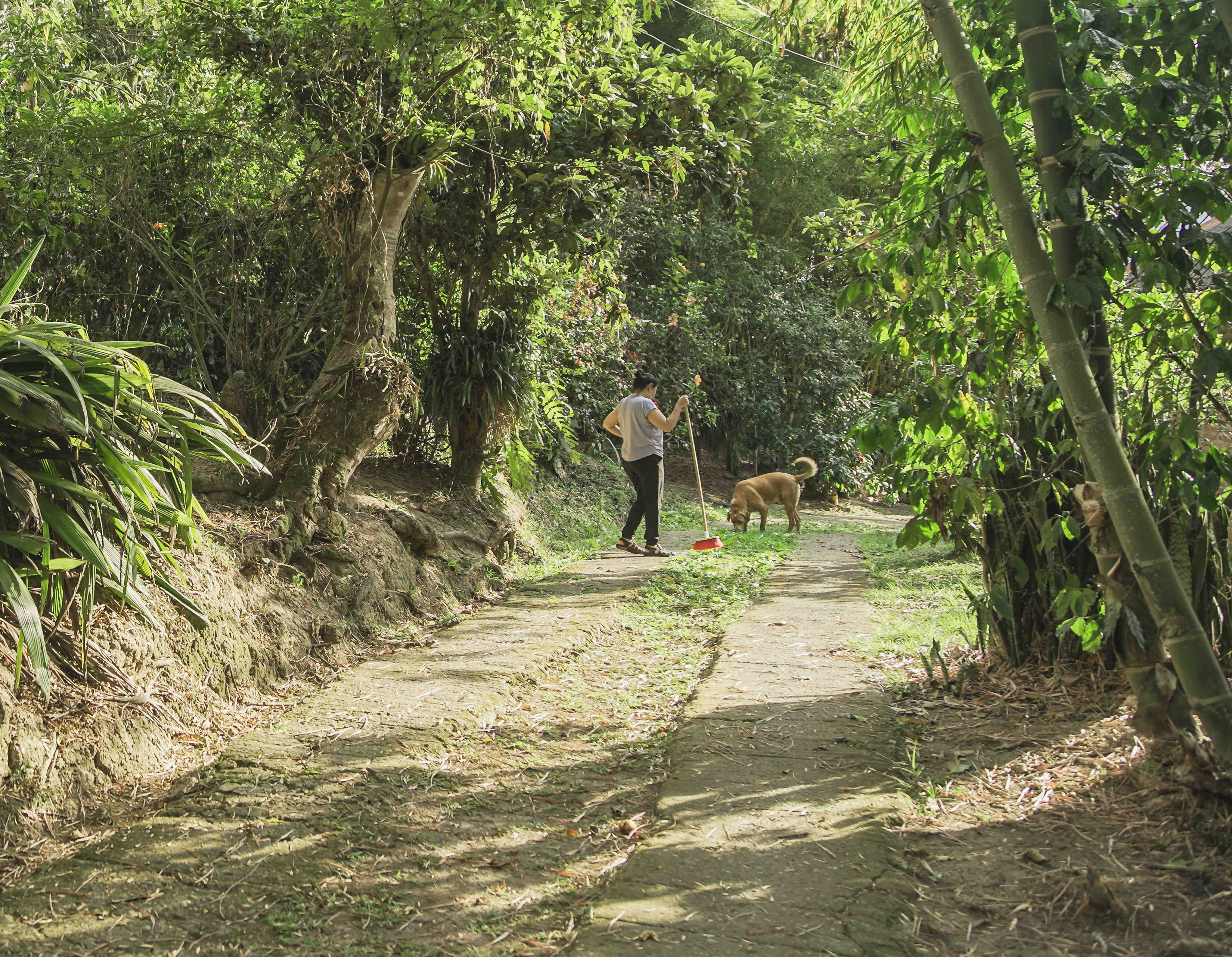 Finca en venta - Fusagasuga, Cundinamarca - 6