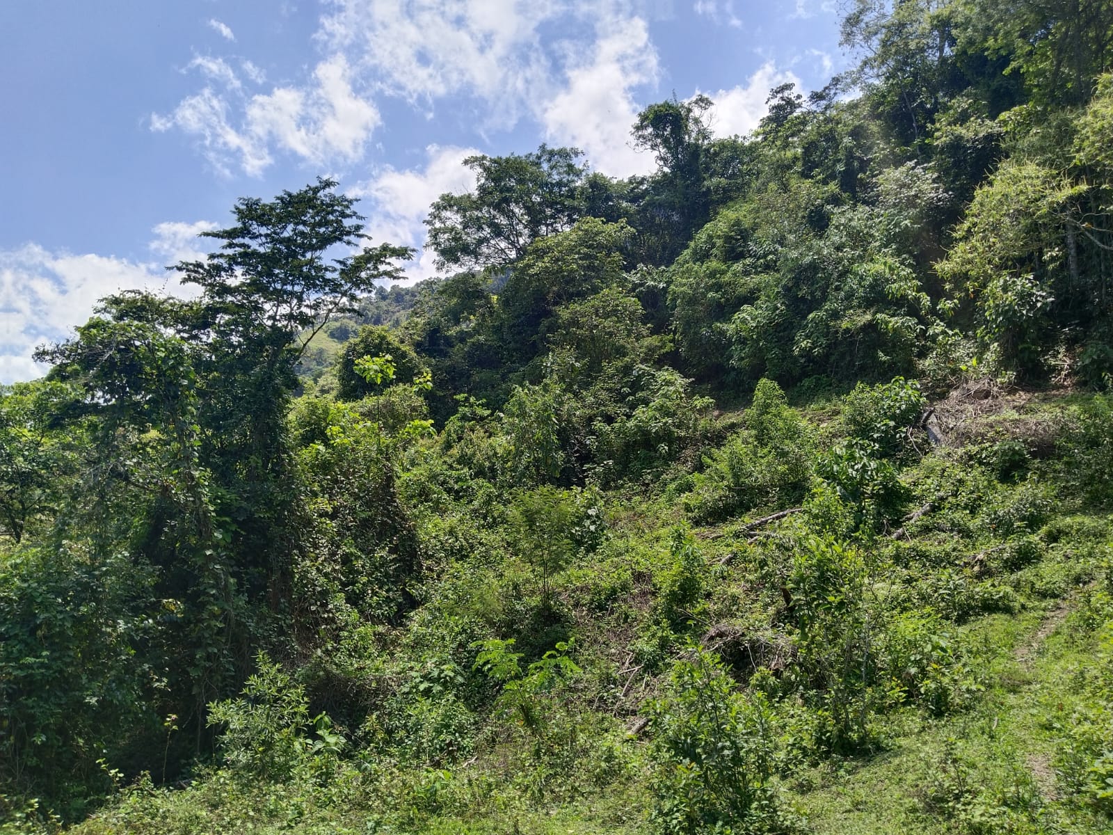 Finca - Ebéjico, Antioquia - 3